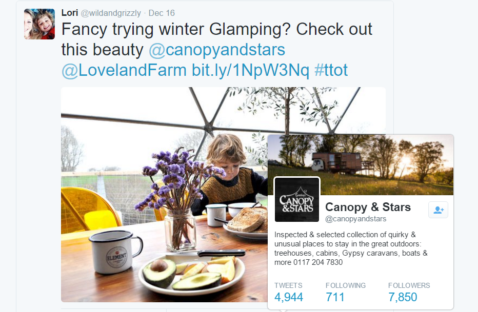 picture of Canopy & Stars Twitter profile
