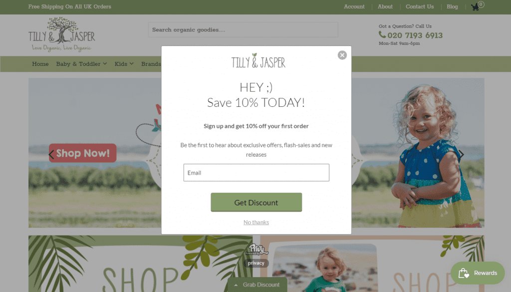 Screenshot of childs shop Tilly and Jasper's opt-in form.