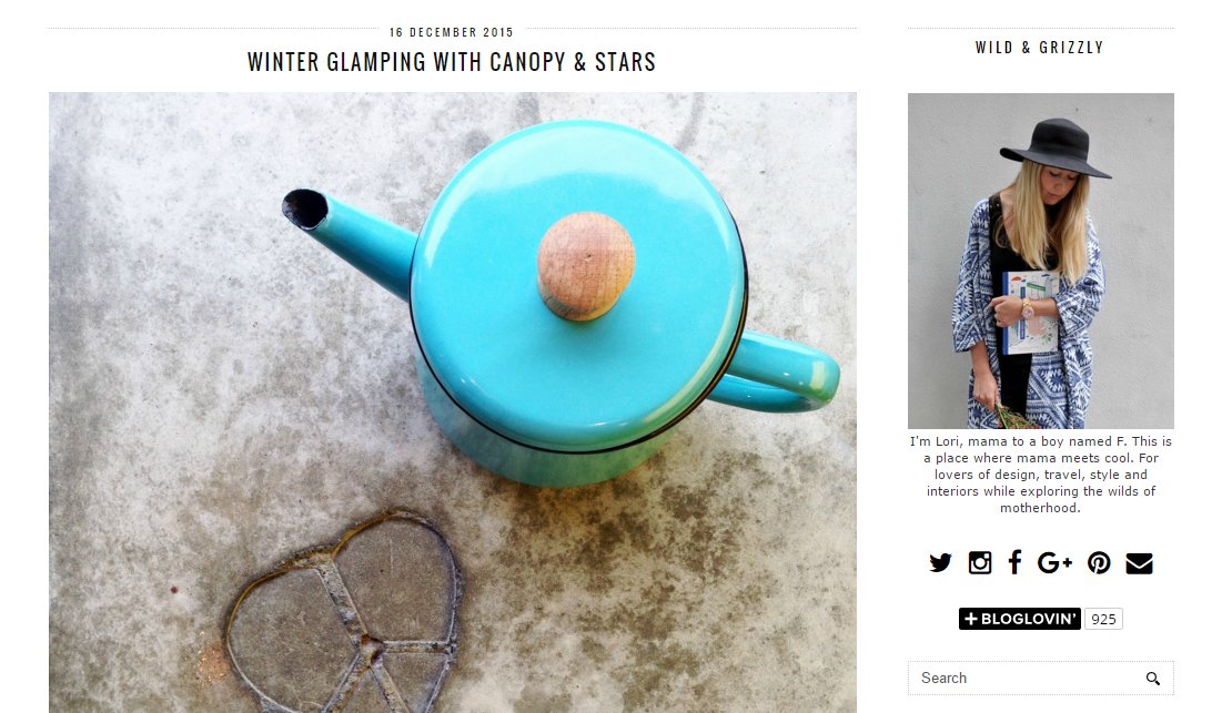screenshot of Glamping company, Canopy & Stars, review