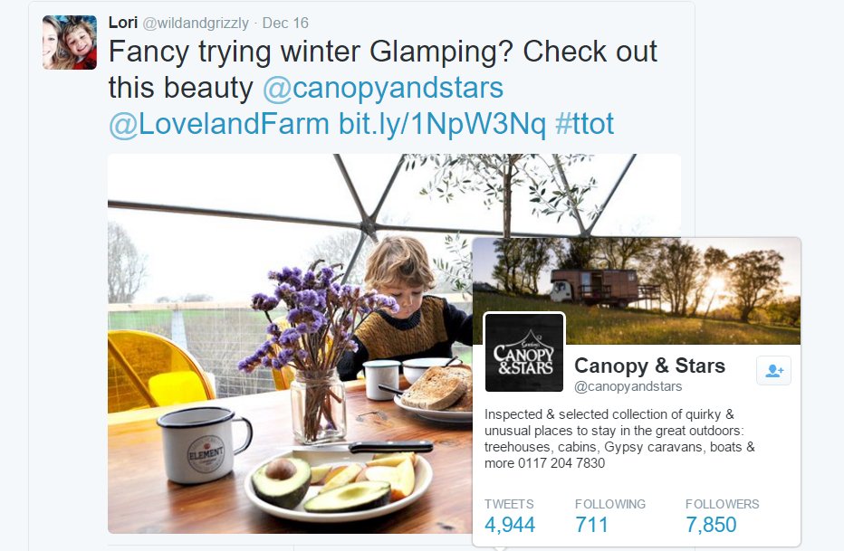 picture of Canopy & Stars Twitter profile