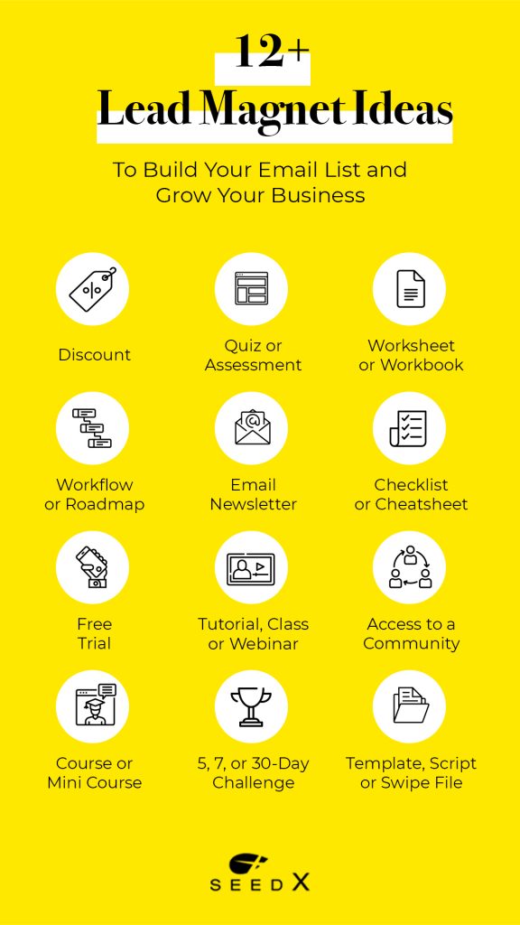Infographic with lead magnet ideas