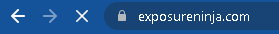 Screenshot of Exposure Ninja's SSL Certificate padlock