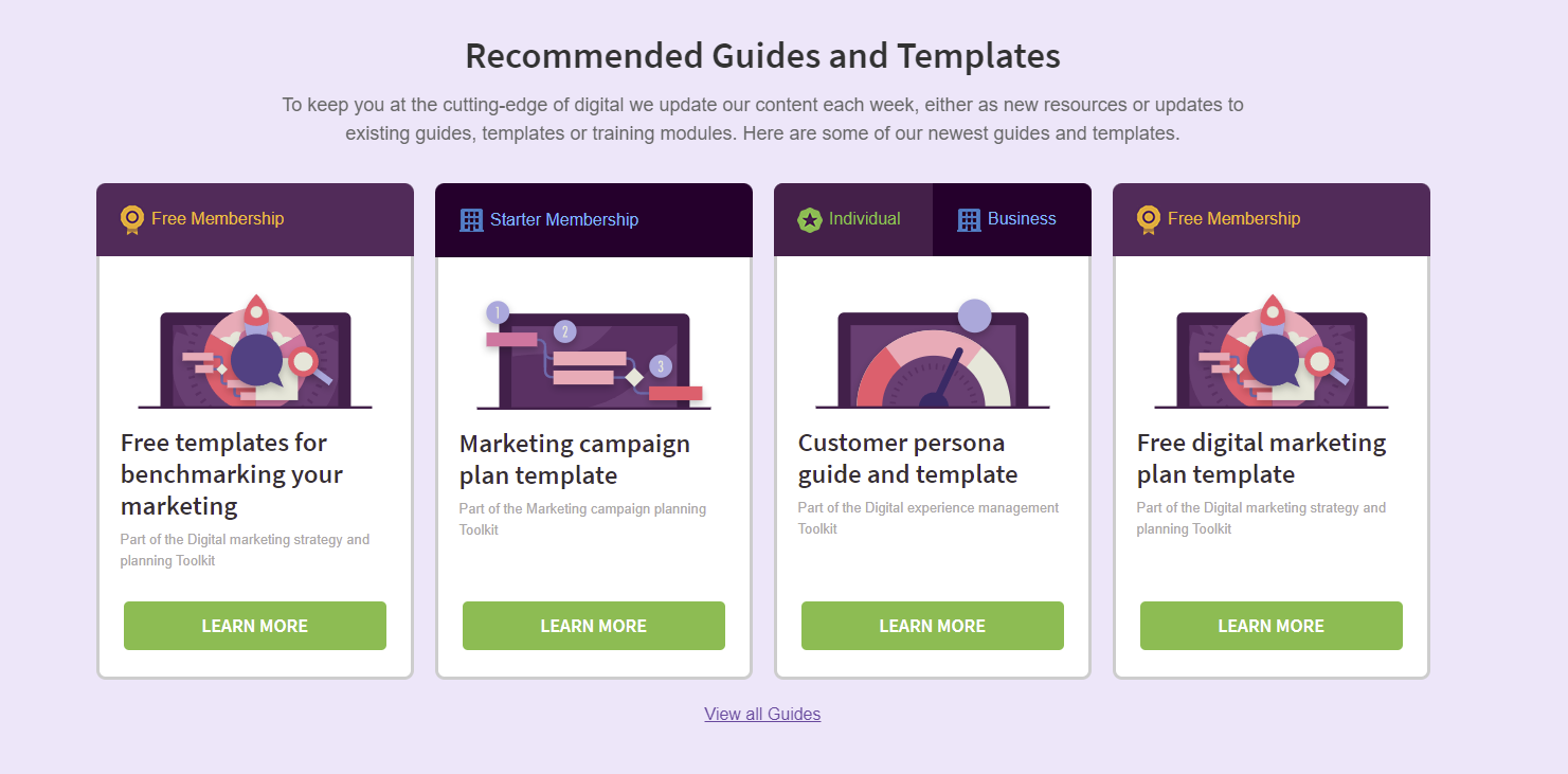 Screenshot of Smart Insight's guides and templates