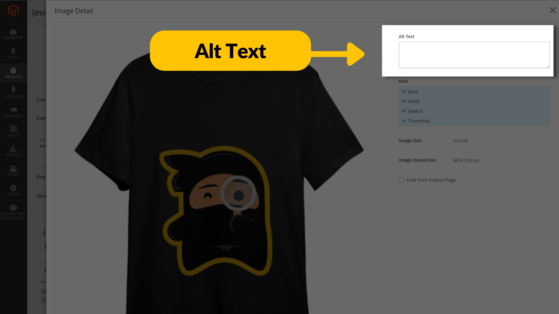 Screenshot of the alt text box in Magento
