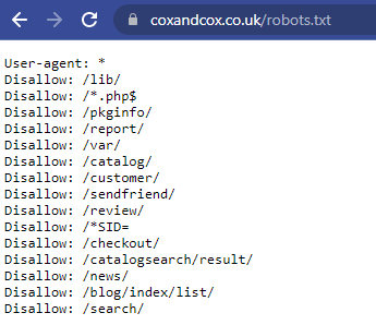Screenshot of a Robots txt file