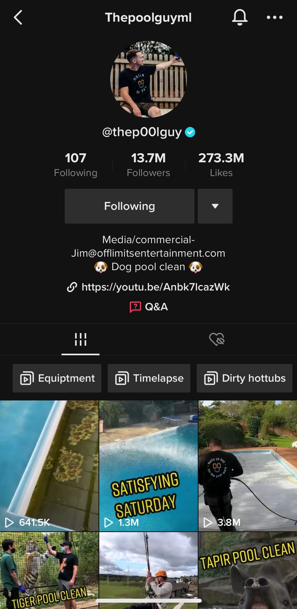 Screenshot of thep00lguy's tiktok
