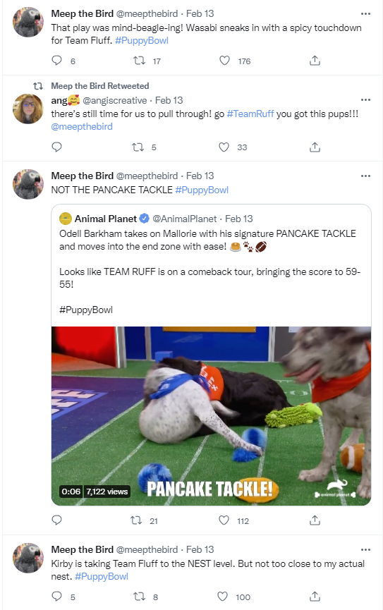 Screenshot of a post by the Meep the Bird account