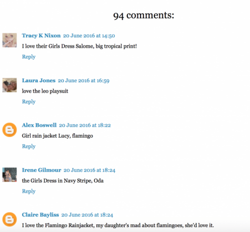 blog comments screen-shot-blog comment