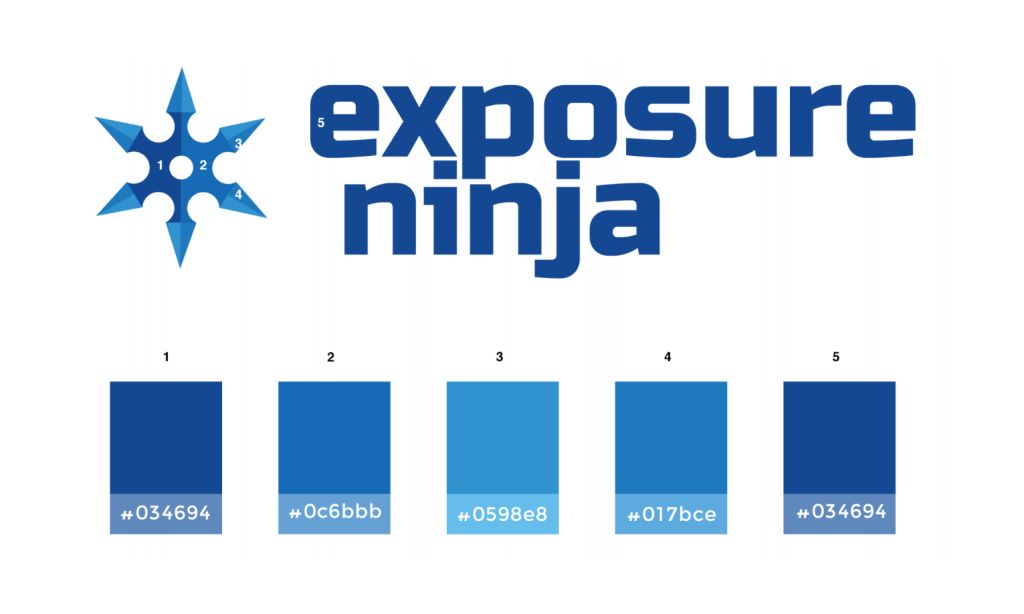 Guidelines for Exposure Ninja colour usage.