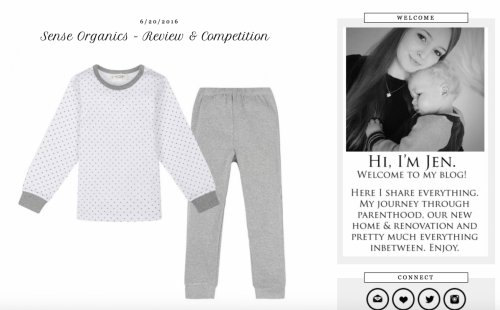 screen-shot of website 