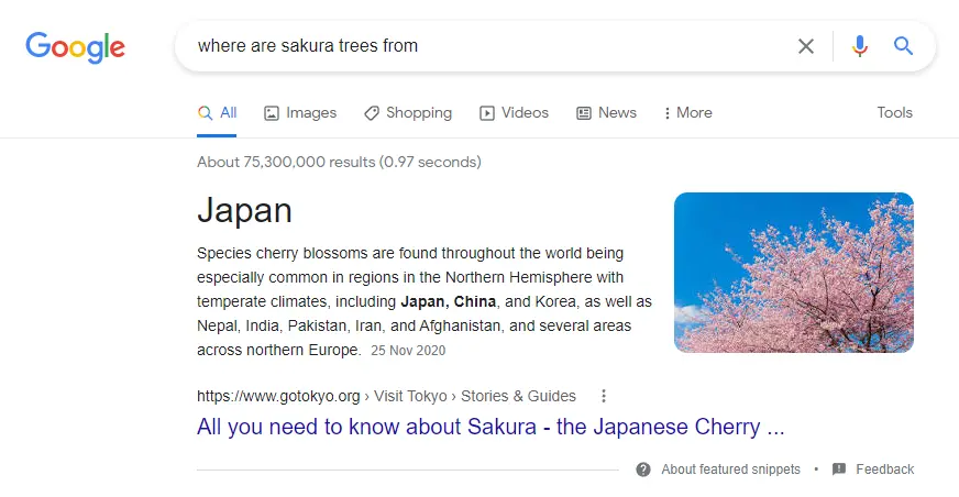 Paragraph Featured Snippet for "where are sakura trees from" showing a paragraph result pulled from a website