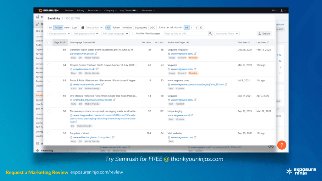 Screenshot of the Semrush backlink tool with filters applied.
