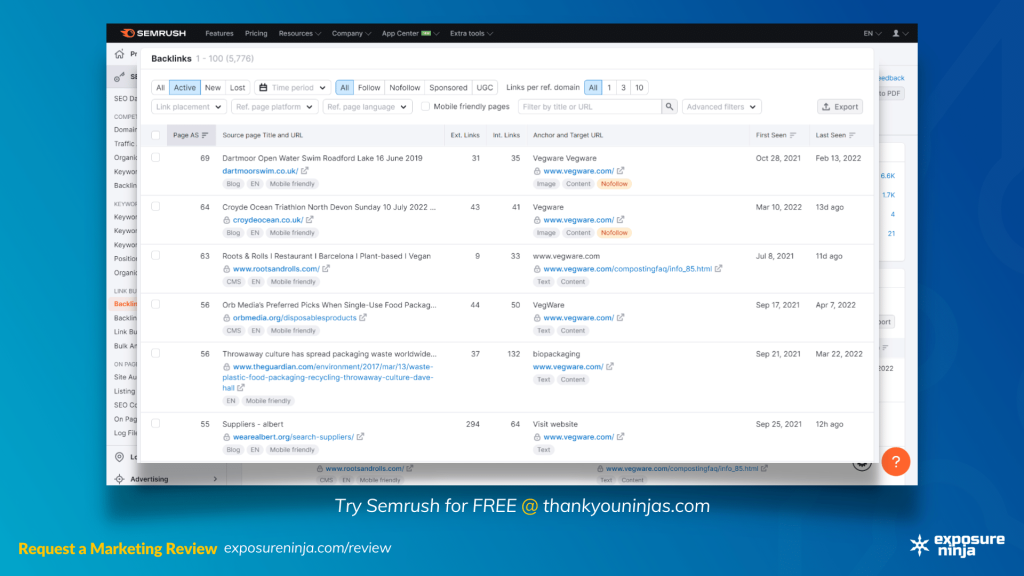 Screenshot of the Semrush backlink tool with filters applied.
