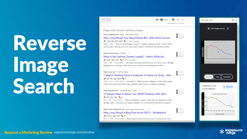 Image with the text, "Reverse Image Search".