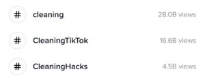 TikTok views for cleaning hashtags
