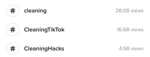 TikTok views for cleaning hashtags