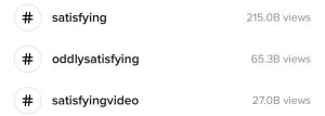 TikTok views for satisfying hashtags