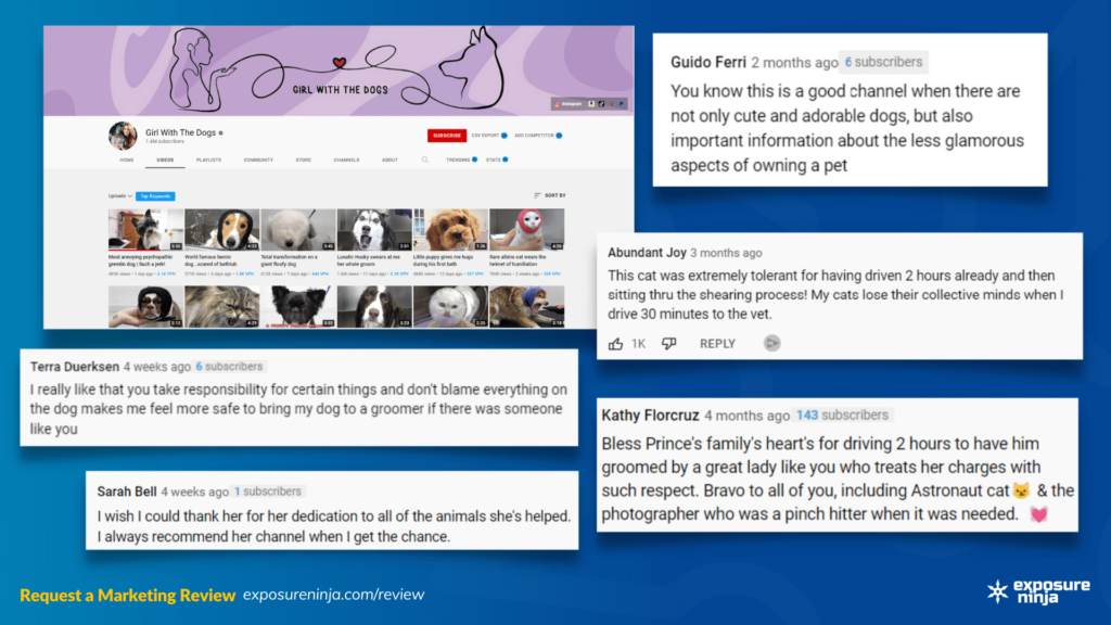 A screenshot of view comments from the Girl With The Dogs YouTube channel.