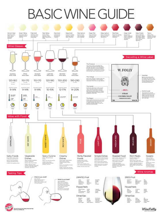 Infographic guide to wine