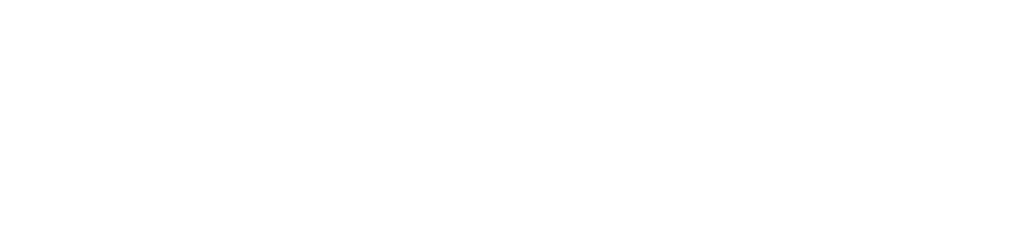 Transparent Logo White