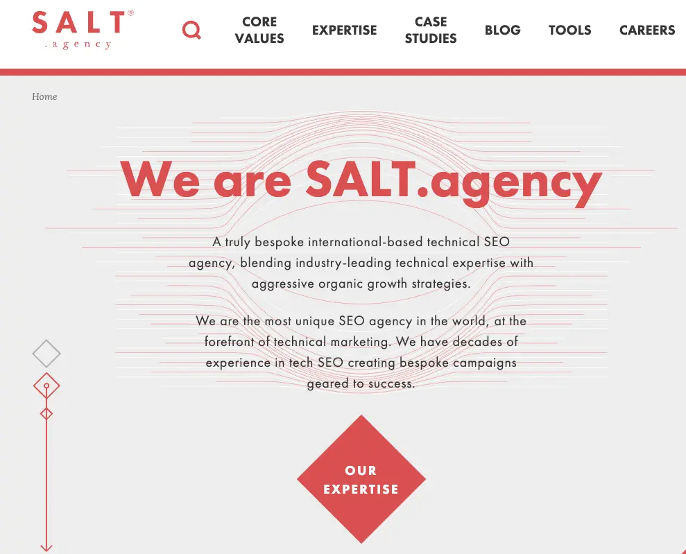 SALT.agency Homepage