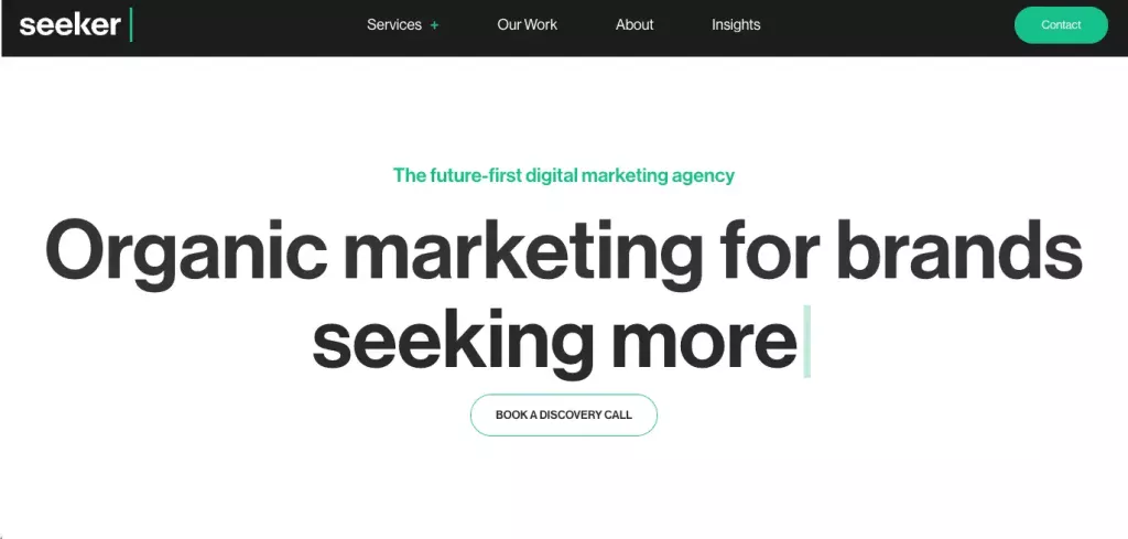 Seeker Digital Homepage
